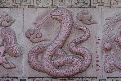 《微软飞行模拟》升级档将支持FSR 2.0和DLSS 3