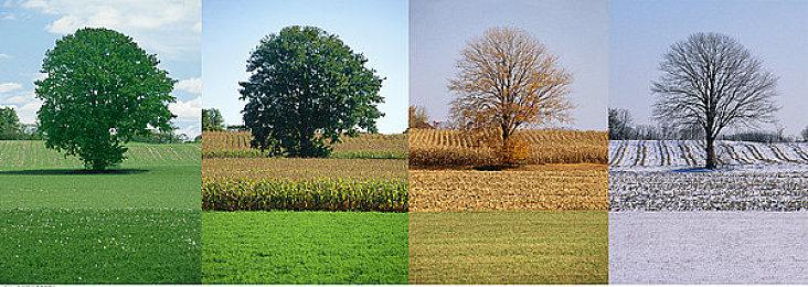 3D ARPG《无尽幻樱阁》正式参战Steam新品节 现正公开免费体验版