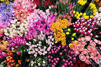 《漫威暗夜之子》最新DLC内容《善人、坏种与不死之身》现已推出