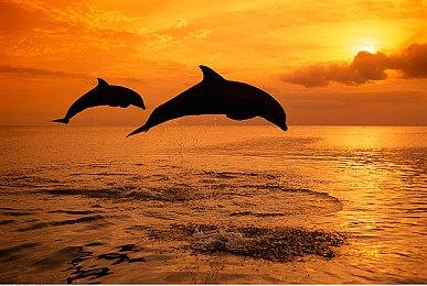 索尼高管：PC游戏体验不能与PS5 Pro主机相提并论